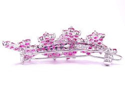 �L���[�r�b�N�W���R�j�A�̃w�A�E�A�N�Z�T���[