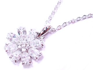 �t�����[���`�[�t�@�A�N�Z�T���[