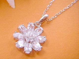 �t�����[���`�[�t�@�A�N�Z�T���[