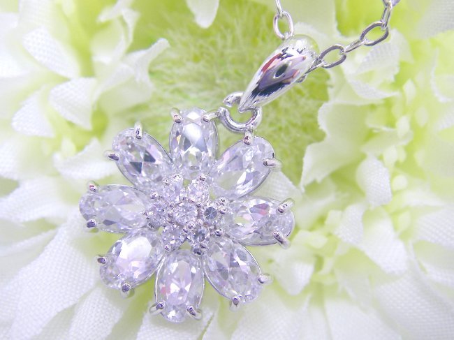 �t�����[���`�[�t�@�y���_���g