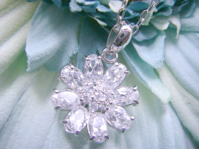 �t�����[���`�[�t�@�A�N�Z�T���[