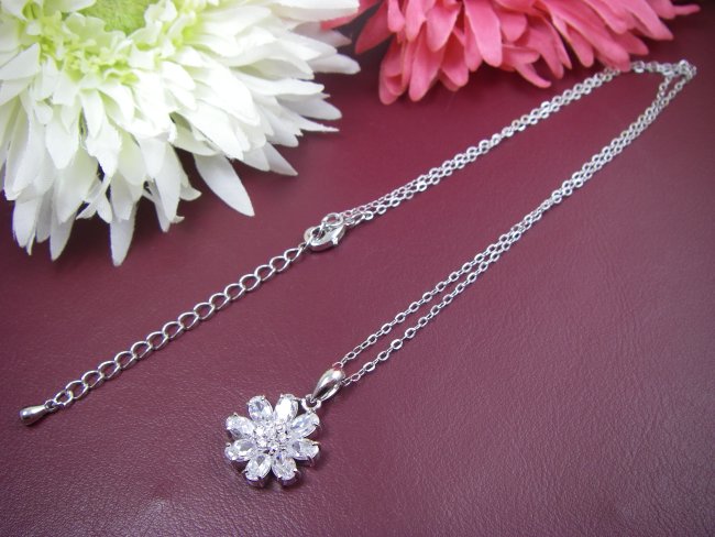 �t�����[���`�[�t�@�A�N�Z�T���[�@�y���_���g