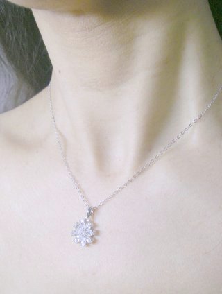 �t�����[���`�[�t�@�A�N�Z�T���[