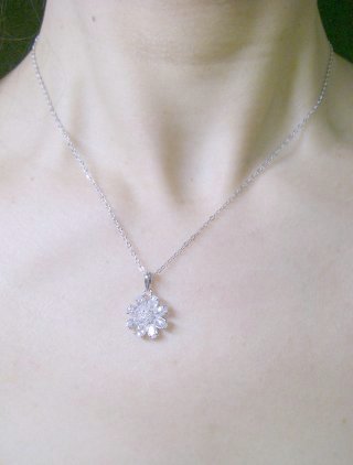 �t�����[���`�[�t�@�A�N�Z�T���[