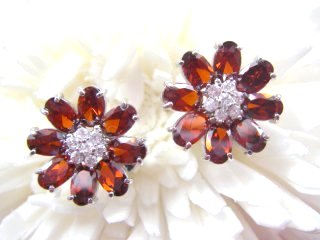 �_���A�@�K�[�l�b�g�E�s�A�X