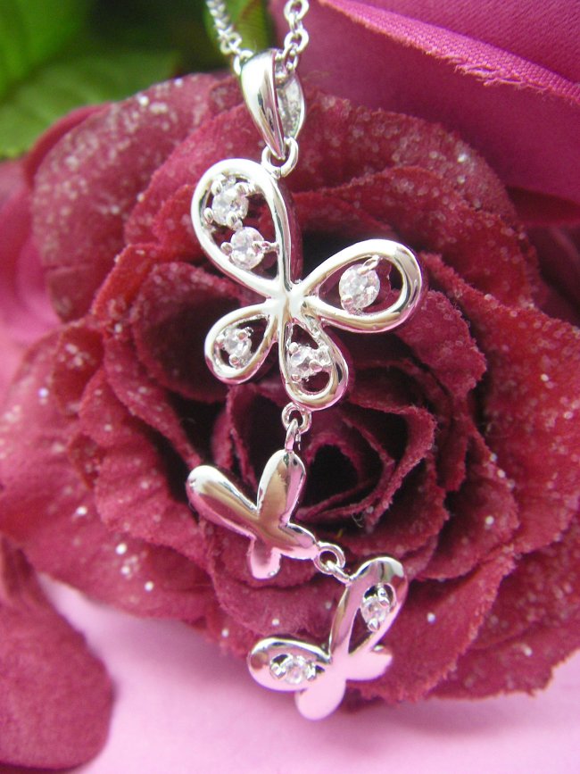 �o�^�t���C���`�[�t�@�y���_���g�E�A�N�Z�T���[