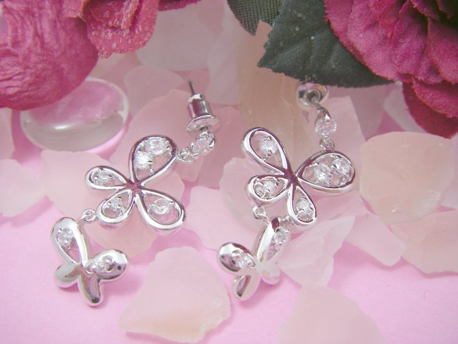 �o�^�t���C���`�[�t�@�s�A�X�E�A�N�Z�T���[