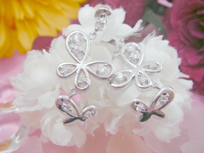 �o�^�t���C���`�[�t�@�s�A�X�E�A�N�Z�T���[