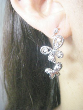 �o�^�t���C���`�[�t�@�s�A�X�E�A�N�Z�T���[