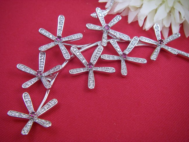 �t�����[���`�[�t�@�l�b�N���X�@�L���[�r�b�N�W���R�j�A�E�A�N�Z�T���[