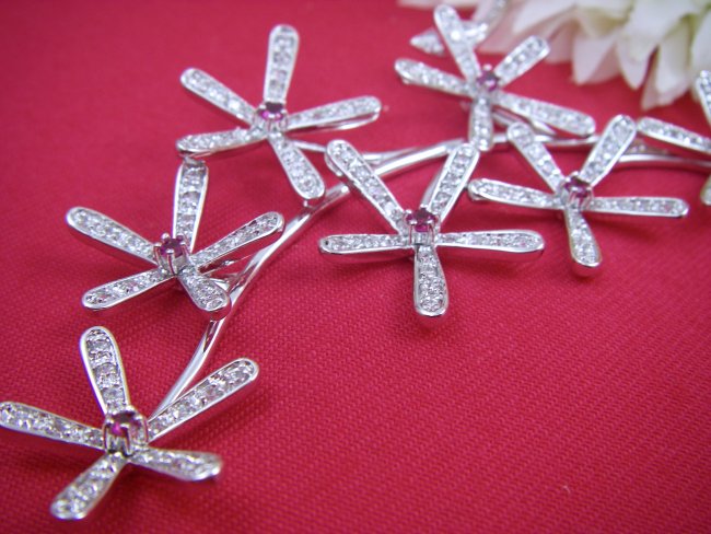 �t�����[���`�[�t�@�l�b�N���X�@�L���[�r�b�N�W���R�j�A�E�A�N�Z�T���[