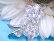 CZ�@SV�L���[�r�b�N�W���R�j�A�@�u���[�`