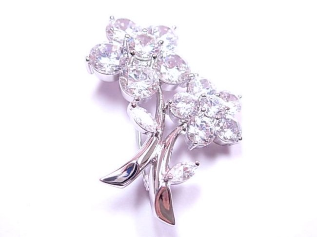 �u���[�`�E�A�N�Z�T���[