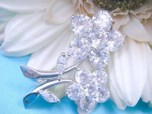 �u���[�`�E�A�N�Z�T���[