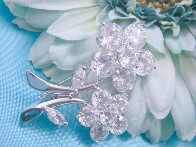 �u���[�`�E�A�N�Z�T���[