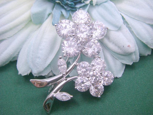 �u���[�`�E�A�N�Z�T���[