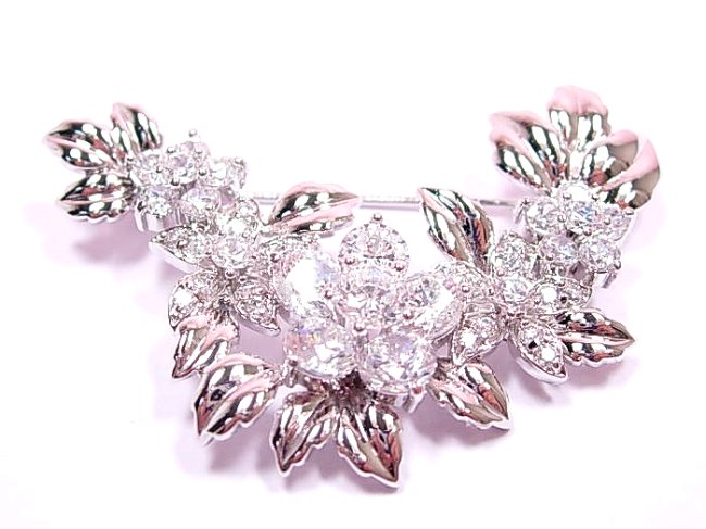 �u���[�`�@�A�N�Z�T���[