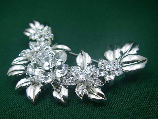 �u���[�`�@�A�N�Z�T���[