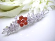 �L���[�r�b�N�W���R�j�A�@�w�A�s��