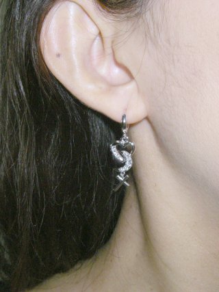 �h�C�c���@�L���[�r�b�N�W���R�j�A�̃n�[�g�A���A�N���X�̃s�A�X