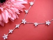 �X�����t�X�L�[�E���C���X�g�[���̃y���_���g