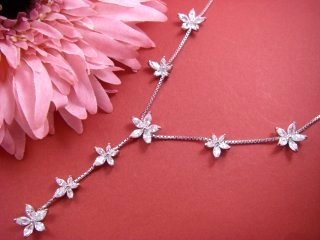 �t�����[���`�[�t�@�L���[�r�b�N�W���R�j�A�̃l�b�N���X