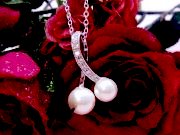 CZ�@�L���[�r�b�N�W���R�j�A�@�}�W�����J�p�[���@�y���_���g