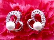 �p�[���̃s�A�X