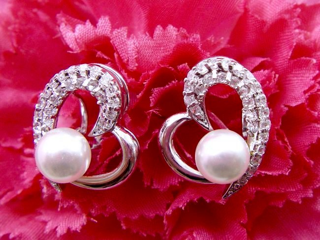 �p�[���ƃL���[�r�b�N�W���R�j�A�̃s�A�X