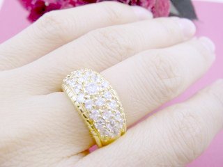 �p�[�e�B�����@�S�[�W���X�ȃ����O�@�S�[���h