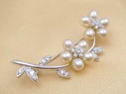 CZ�@�L���[�r�b�N�W���R�j�A�@�}�W�����J�p�[���u���[�`