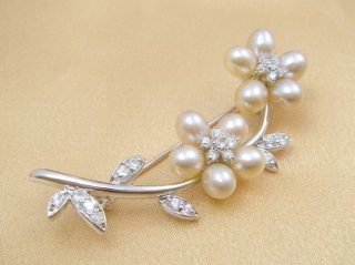 �W���p�[���̃u���[�`