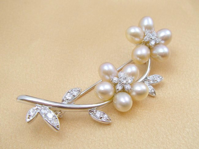 �W���p�[���ƃL���[�r�b�N�W���R�j�A�̃u���[�`