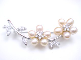 �W���p�[���@�u���[�`