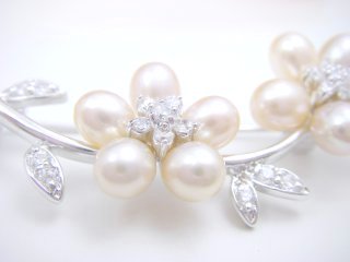 �W���p�[���@�u���[�`