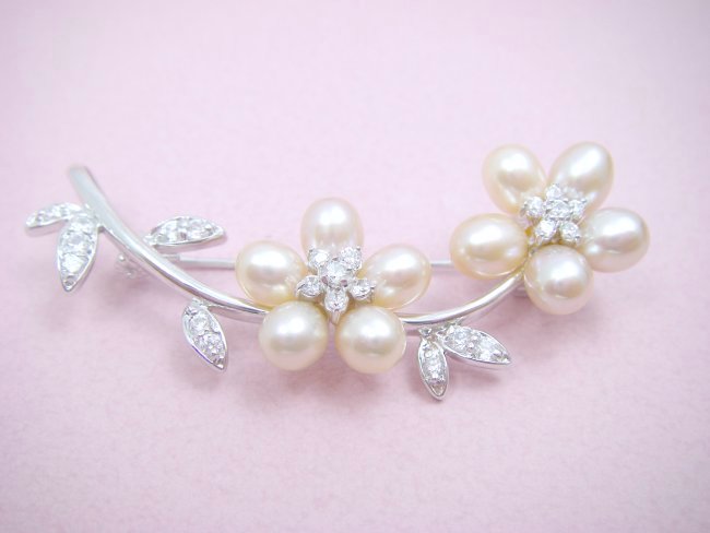 �W���p�[���@�u���[�`