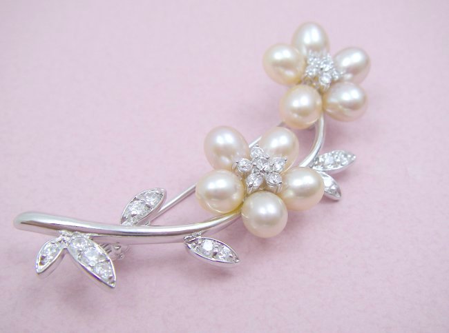 �W���p�[���@�u���[�`