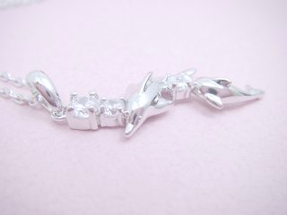 CZ�A�N�Z�T���[�@�}�������`�[�t�@�h���t�B���@�y���_���g