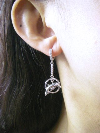 �}�������`�[�t�@�h���t�B���@CZ�t�[�v�E�s�A�X