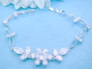 SV�L���[�r�b�N�W���R�j�A�@�u���X���b�g