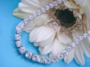 CZ�@�L���[�r�b�N�W���R�j�A�@�l�b�N���X