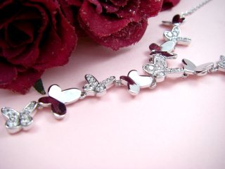 �o�^�t���C���`�[�t�@�L���[�r�b�N�W���R�j�A�@�l�b�N���X