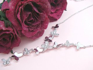 �o�^�t���C���`�[�t�@�L���[�r�b�N�W���R�j�A �l�b�N���X