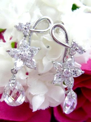 �t�����[���`�[�t�@�s�A�X�@�L���[�r�b�N�W���R�j�A�E�A�N�Z�T���[