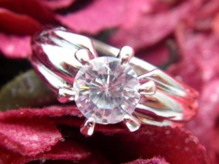 �L���[�r�b�N�W���R�j�A�@�����O