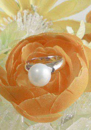 �p�[���̃����O