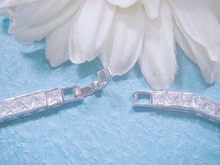 �e�j�X�l�b�N���X