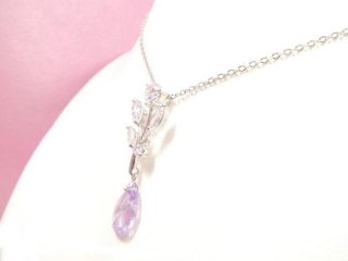 �p�[�v���@CZ�A�N�Z�T���[�@�y���_���g