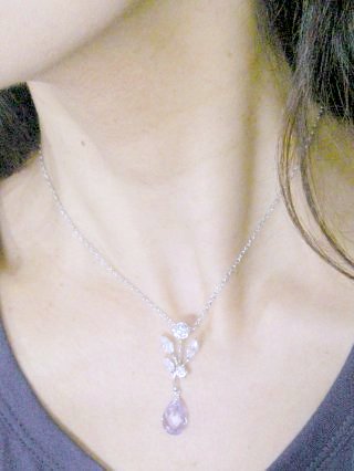 �p�[�v���@CZ�A�N�Z�T���[�@�y���_���g