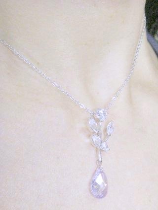 �p�[�v���@CZ�A�N�Z�T���[�@�y���_���g